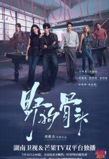 Love for You (2026)